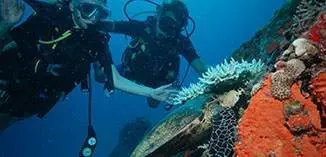Diving & snorkelling opportunities (photo: Martina Bauder)