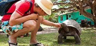 Giant Tortoise conservation project (photo: AMRI)