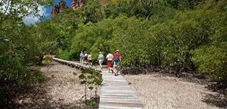 The boardwalk along the mangroves (photo: AMRI)