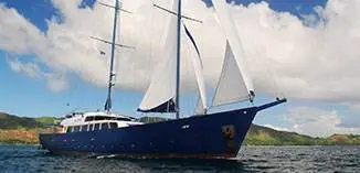 Sea Bird on its way